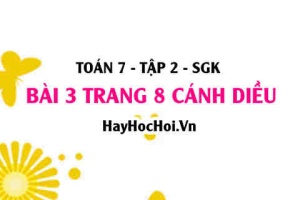 Bài 3 trang 8 Toán 7 Tập 2 Cánh Diều